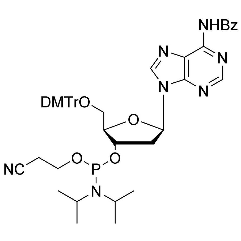 dA (Bz) CE-Phosphoramidite
